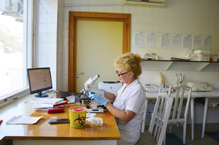 Наши специалисты